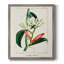 Toile encadrée Turpin Tropical Botanicals-903611125-903611126