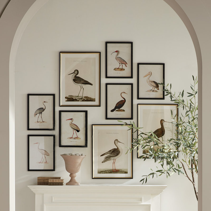 ETUDE D'OISEAUX AQUATIQUES, ENSEMBLE DE 9