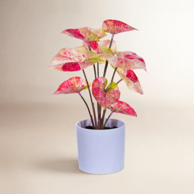11.5'' Faux Foliage Plant in Pot