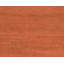 Sprouts Wool Area Rug in Orange-40705247