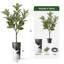 Arbre artificiel en fleur noire et blanche-104345534