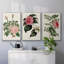 Mélange floral rose I-91887158-91887157