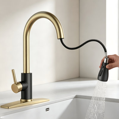 Robinet de cuisine monocommande à bec haut extractible en acier inoxydable