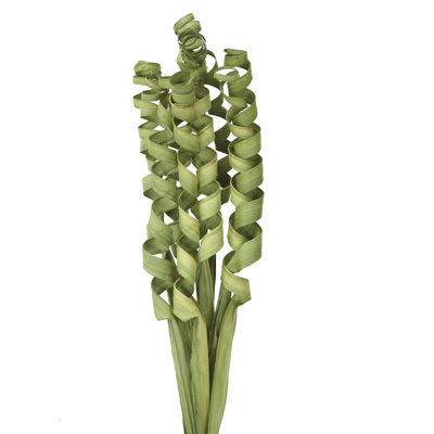 Flax Stems, Bushes, And Sprays Arrangement