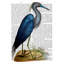 Art sur toile tendue avec toile Trinx Fab Funky, Blue Heron 2-137180695