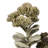 22'' Faux Sedum Branch