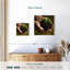 Senne New Seedling Sprouting-109359344
