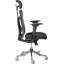  Fauteuil ergonomique Ergo Ex