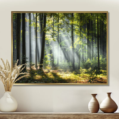 «Sunny Morning Magic Forest III - Forest», reproduction d'art sur toile