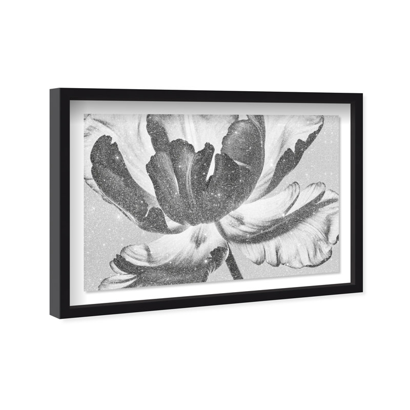 Full Bloom Framed Graphic Art, 17.5" H x 25.5" W, Black Shadowbox