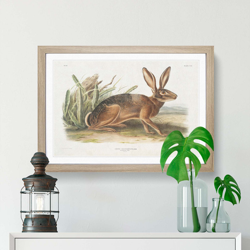 Californian Hare by J.W. Audubon - Picture Frame Painting Print, 36cm H x 48cm W x 2cm D, Oak Framed