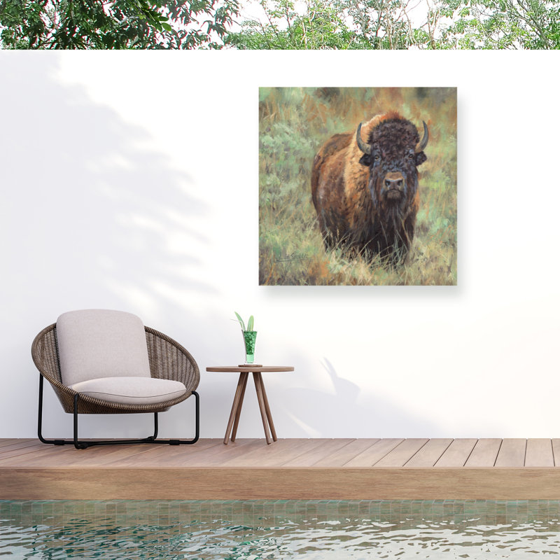 David Stribbling Bison Outdoor  Canvas, 14" H x 14" W