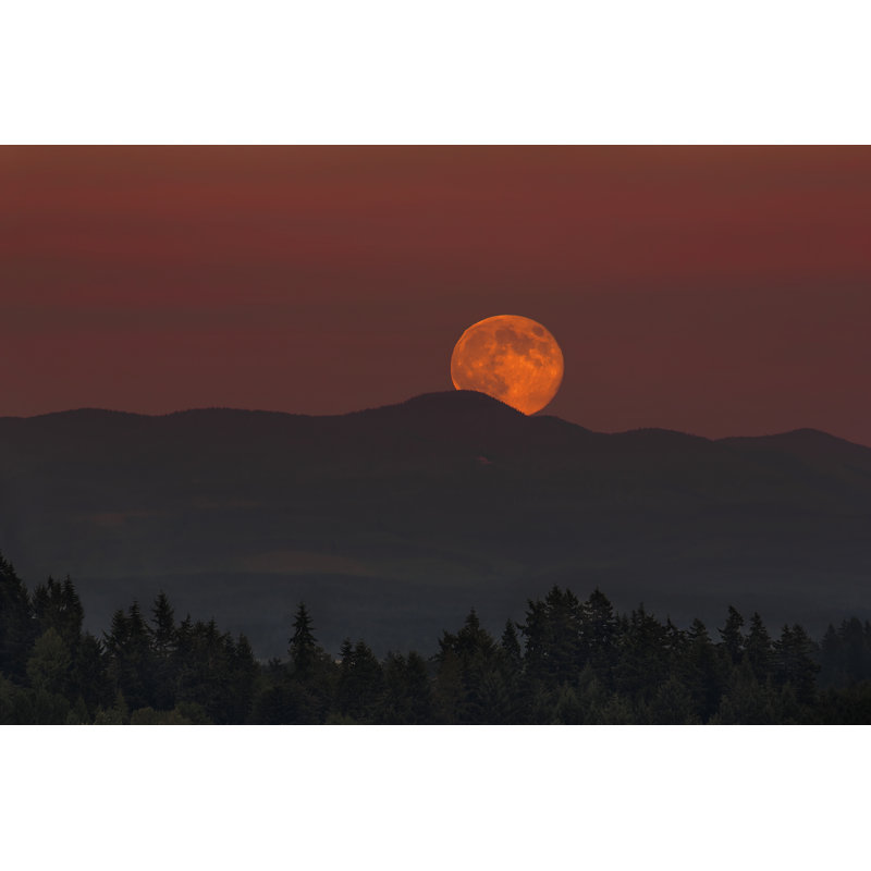 Full Moon Moonrise by JPLDesigns - Wrapped Canvas Print, 81cm H x 122cm W