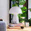 Glass Mushroom Table Lamp, Large Close Top-519595188
