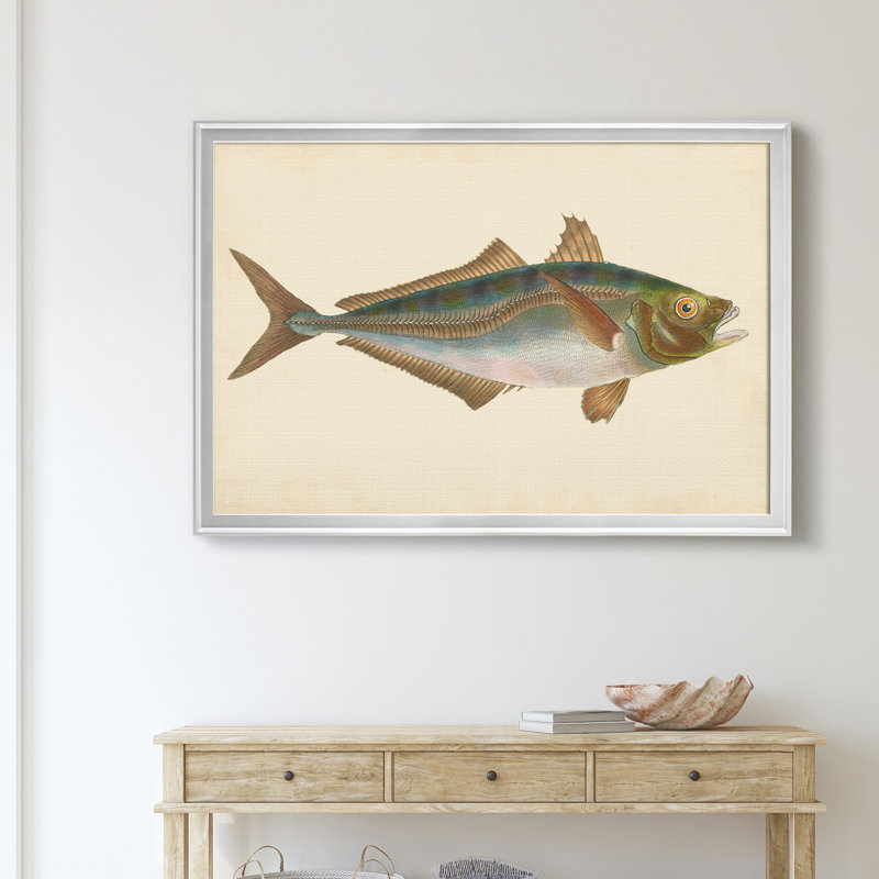 «Donovan Antique Fish III», impression sur toile encadrée, H 18,5 po x l 24,5 po x P 1,5 po, Argent
