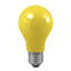 Incandescent Light Bulb-125375561-86703739