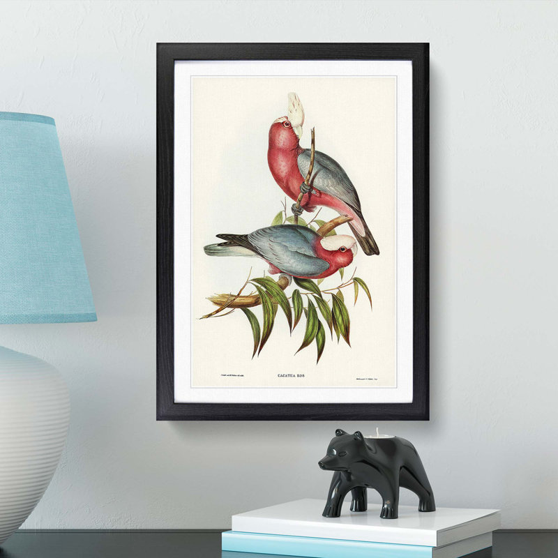 Rose-Breasted Cockatoos by Elizabeth Gould - Picture Frame Graphic Art Print, Black, 60cm H x 40cm W x 2cm D