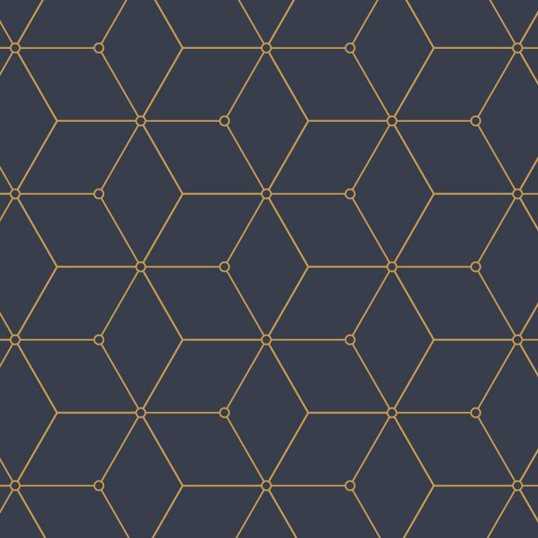 Hexagon Geometric Wallpaper Roll by Jamie Graney