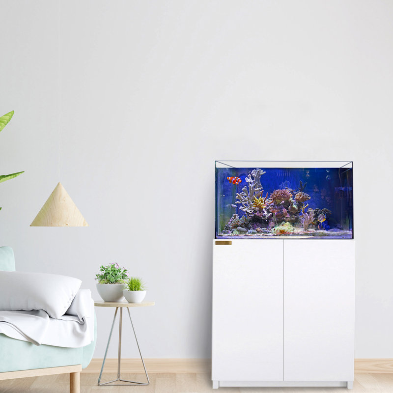 Coral Reef Aquarium, ensemble complet d'aquarium 100 gallons