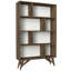 Neelyville Bookcase