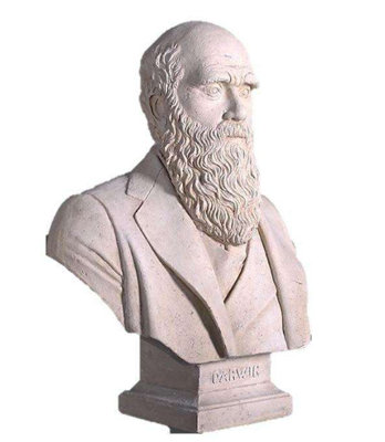 Darwin Bust Life Size Statue