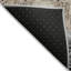 Machine Washable Indoor/Outdoor Jenning ACN2276 Animal Rug-1657655051