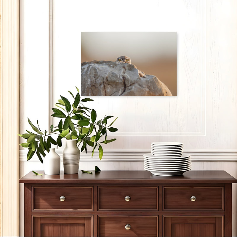 Peeking Owl Eyes Abstract Contemporary Bird Owl Forest Landscape Wall Art Print, 40.64cm H x 60.96cm W