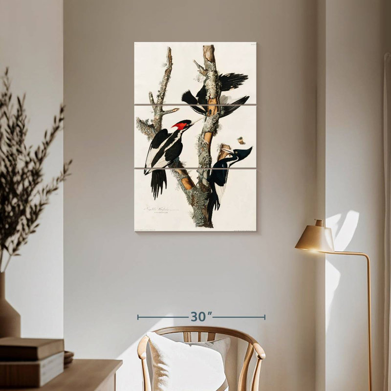 Brampt Ivory Billed Woodpecker, 57" H x 36" W
