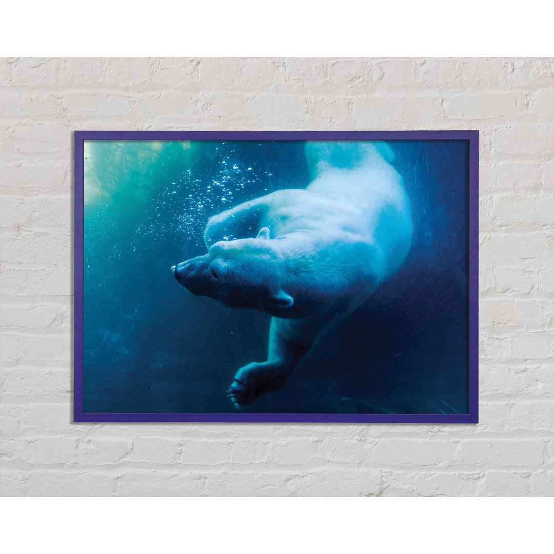 Gerahmtes Poster Polar Bear Swimming