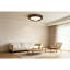 LED Flush Mount