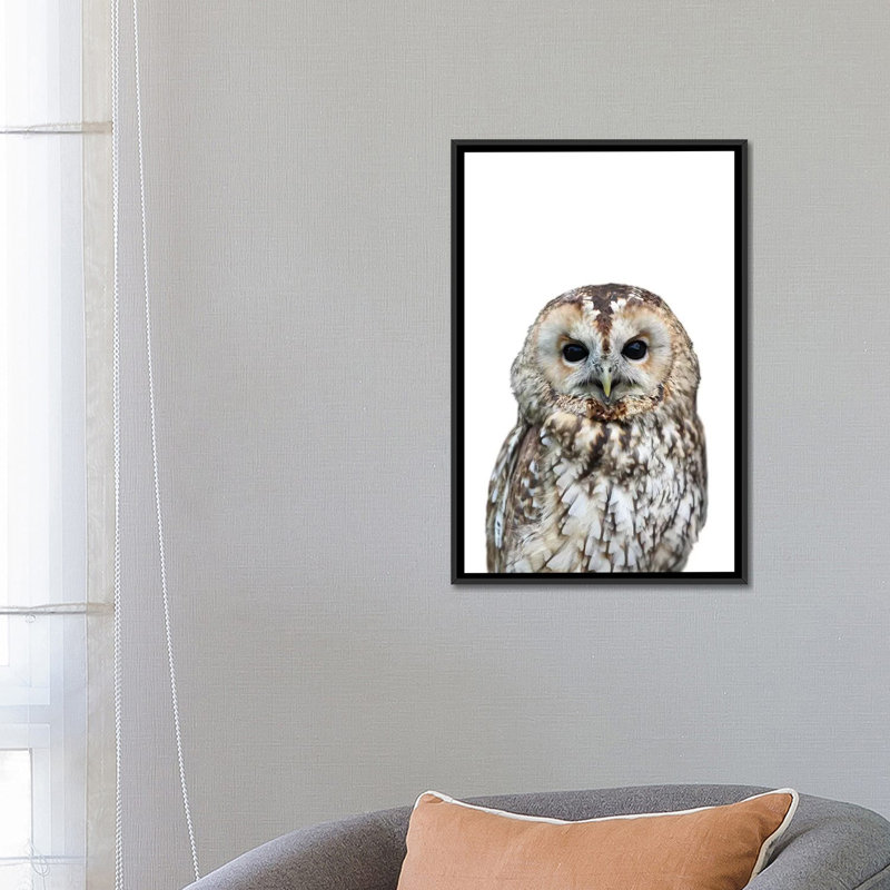 « hibou », impression sur toile, H 26 po x l 18 po x P 1,5 po, Toile tendue, Pas de tapis