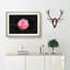 Lone Pink Carnation Paint Splash - Picture Frame Graphic Art-56865396-56865399