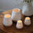 Poetry Lantern with Beechwood Base - Grasses Embossed Design - 5.1"