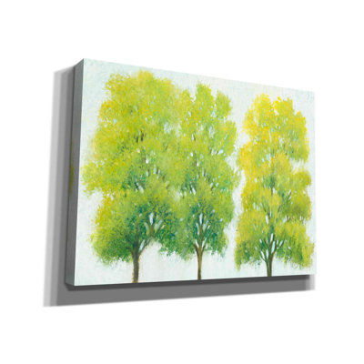 «Spring Eernal I» par Tim O'toole, art mural