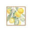 Ensemble de 2 impressions Lemon Grove Glow-450686761-450686774-450686783