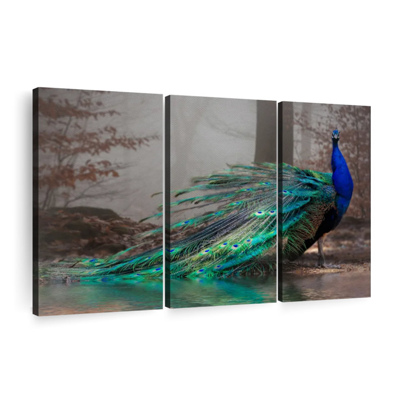 «Elegant Blue Peacock» sur toile, H 20 po x l 33 po x P 1,25 po