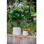 Ensemble de 2 pots à fleurs Mosley-1629223542