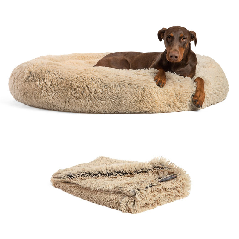Medium Orthopedic Elevated Donut Dog Bed with Blanket