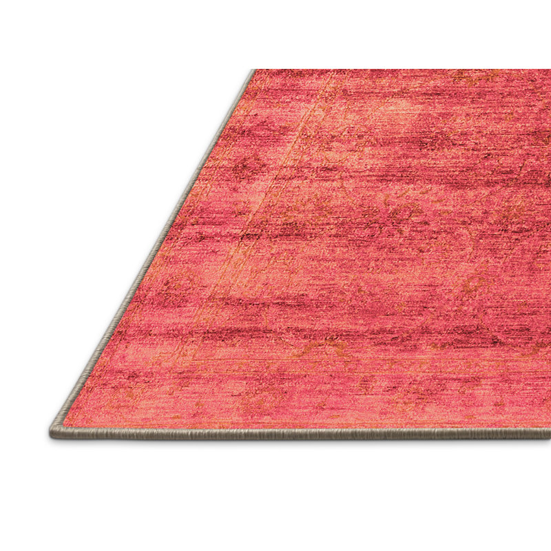 Nicolus Indoor Rug, Rectangle 4' x 6'