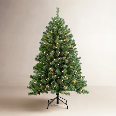 Lighted Christmas Tree