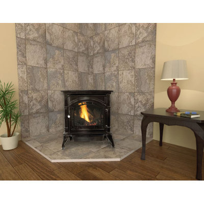 Ashley Vf Cast Flat Black Nat. Gas