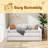 Twin Size Tufted Upholstered Daybed With Trundle-1664810668