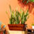7.8 In. Dark Wood Plastic Rectangle Self-Watering Planter Pot