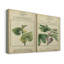 Linnaean Botany V, toile tendue avec châssis de qualité supérieure - prête à être accrochée-1296181954