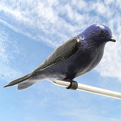 American Barn Martin House and Pole Package
