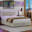Ancuta Velvet Upholstered Platform Bed with RGB LED Lighting and Storage Drawers-1021121475