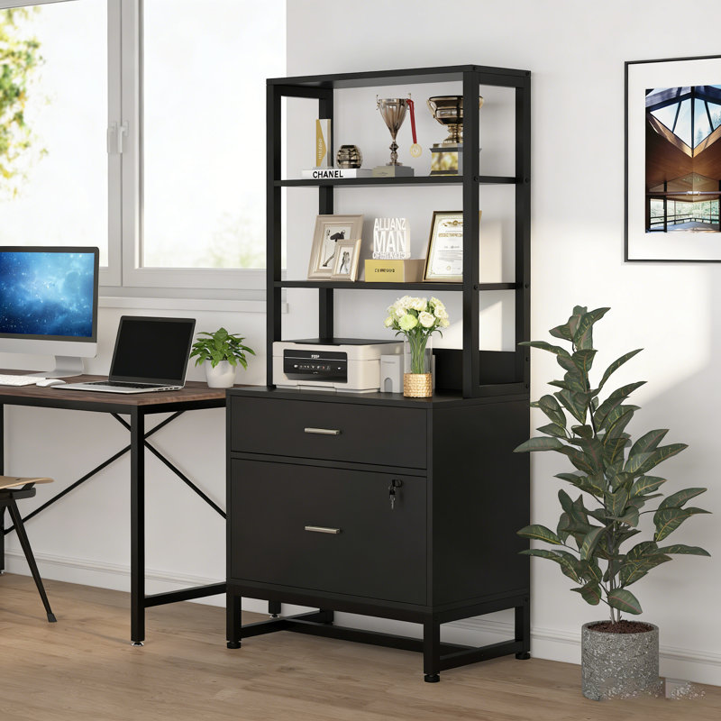 2 Drawers Tall File Cabinet with Shleves, Black