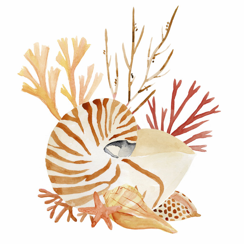 Nautilus Grouping II by Annie Warren - Wrapped Canvas Painting, 51cm H x 51cm W x 3.8cm D