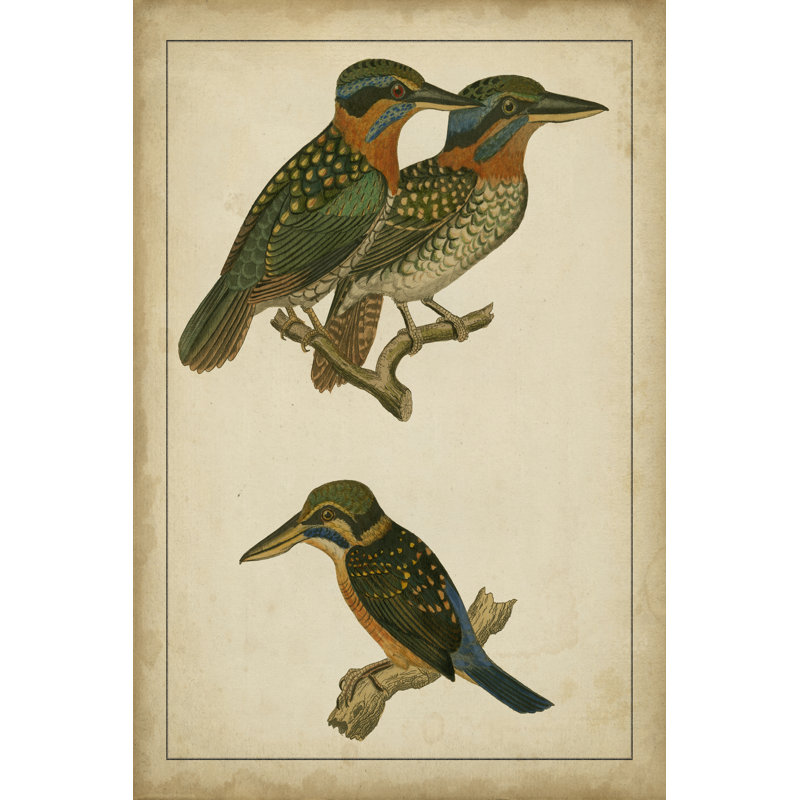 Vintage Kingfishers III - Wrapped Canvas Art Prints, 122cm H x 81cm W x 3.8cm D