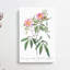 Swamp Rose In Pink by Pierre-Joseph Redoute - Wrapped Canvas Print-55359097